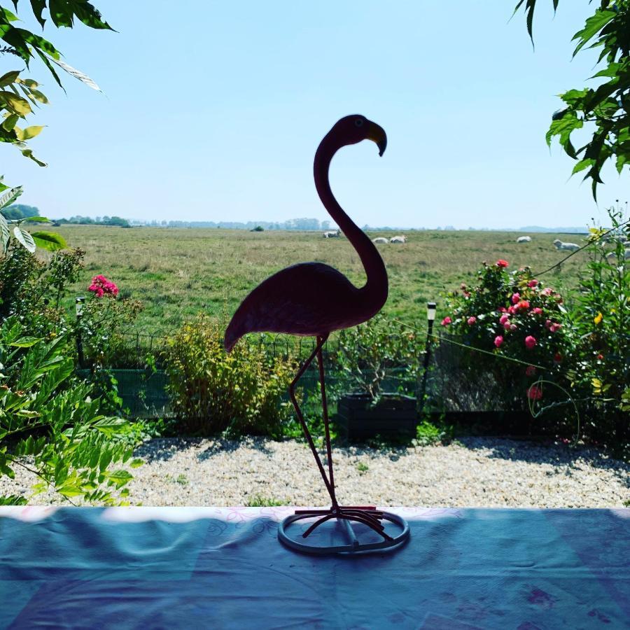 Chalet Bord De Mer 6 Couchages Villa Merville-Franceville-Plage Bagian luar foto